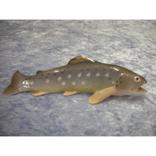 Trout large no 1803, 5.5x22 cm, Factory first,  B&G