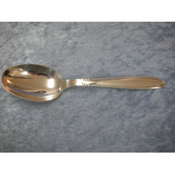 Sextus, Serving Spoon, 23.8 cm, Absa