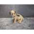Sealyham puppy no 2027, 10 cm, B&G