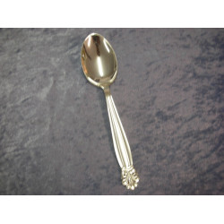 Roma silver plated, Dinner spoon / Soup spoon, 20 cm-1