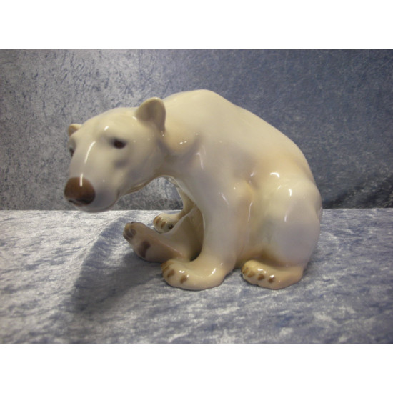 Polar bear sitting no 1629+409, 11.5x19 cm, B&G