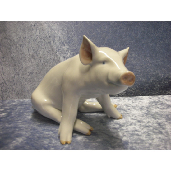 Pig no 414, 16x22 cm, Factory first, RC