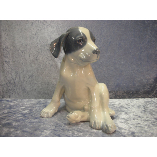 Pointer puppy no 259, 20 cm, RC