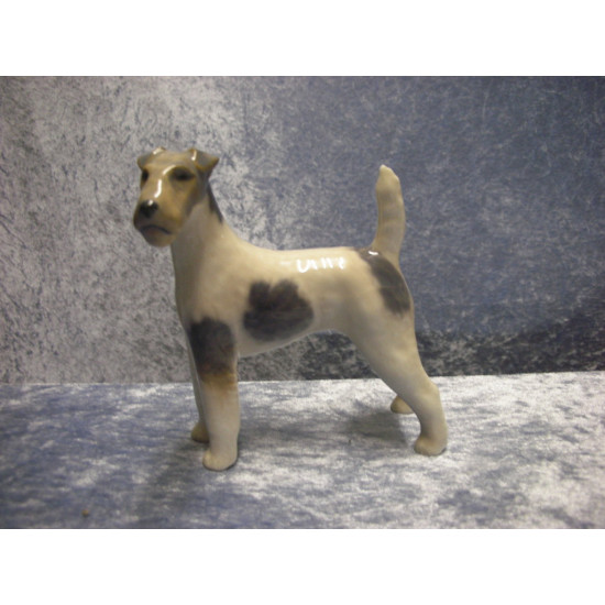Ruhåret Terrier, nr 3165, 12 cm, 1 sortering, Kgl
