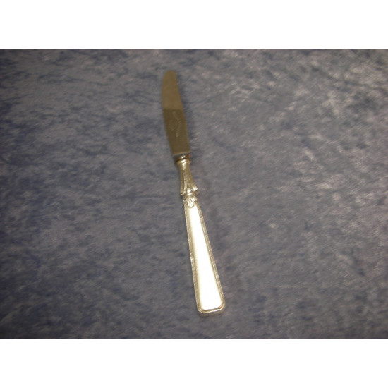 Juni silver plated, Lunch knife, 20 cm-2
