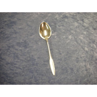 Mullein silver plated, Child spoon / Dessert spoon, 16 cm-1