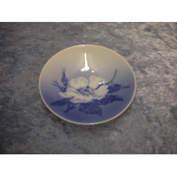 Christmas Rose, Dish no 3611, 10.5 cm, Factory first, RC