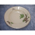 Green Vallo china, Deep Dinner Plate / Dining Plate, 24.5 cm, Kpm-2