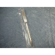 Regatta silver plated, Dinner knife / Dining knife New, 22.5 cm