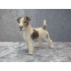Dahl Jensen, Wire Haired Fox Terrier no 1118, 8x11 cm