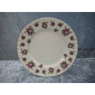 Markviol / Sweet Violets, Flad Frokosttallerken, 20.5 cm, Royal Albert