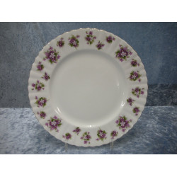Sweet Violets, Flat Dinner Plate / Flat Dining Plate, 24 cm, Royal Albert