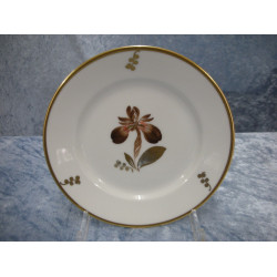 Brown Iris china, Flat Plate no 9055, 15.5 cm, 1 sorting, RC