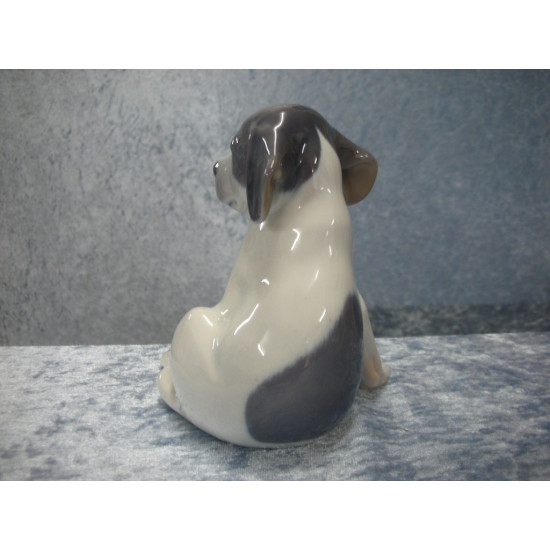 Pointer hvalp / Glathåret Terrier, nr 206, 12.5 cm, Royal Copenhagen