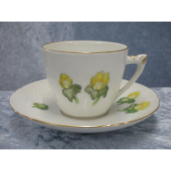 Winter aconite, Coffee cup set no 102 + 305, 6x7.5 cm, Factory first, B&G