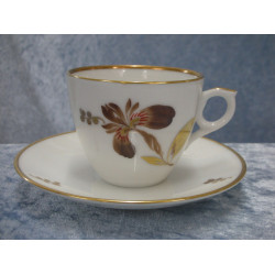 Brown Iris china, Coffee cup set no 9452, 6x7.5 cm, 1 sorting, RC