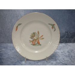 Cactus, Flat Lunch plate no 26, 21.2 cm, Factory first, B&G
