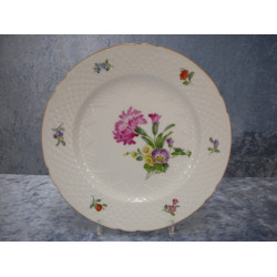 Saxon Flower Hand painted, Flat Dinner plate, 24.2 cm, Factory first, B&G