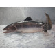 Salmon trout no 2366 / 502, 10x21.5 cm, Factory first,  Bing & Grondahl