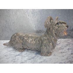 Skye Terrier large no 2130, 14x25 cm, Bing & Grondahl