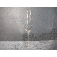 Xanadu / Seashell glass, Champagne glass, 23 cm, Holmegaard