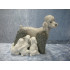 Poodle dog with 5 puppies, 14x16 cm, Lladro Spain