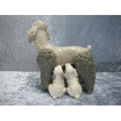 Poodle dog with 5 puppies, 14x16 cm, Lladro Spain